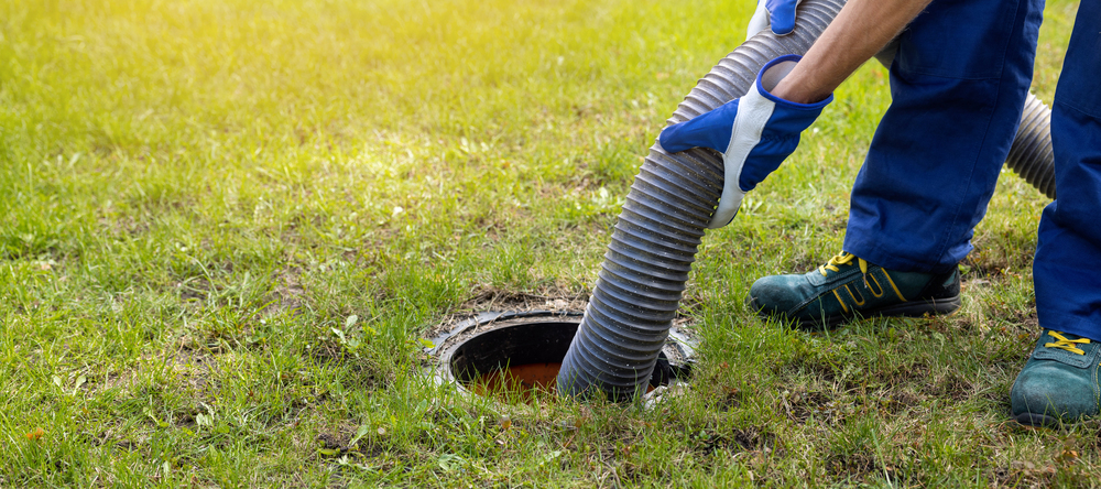 Drainfield area in a yard